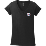 GAP Hockey Softstyle Ladies Fit V-Neck T-Shirt