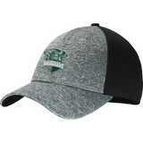 Biggby Barbarians New Era Shadow Stretch Mesh Cap