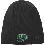 Kensington Valley Renegades New Era Knit Beanie